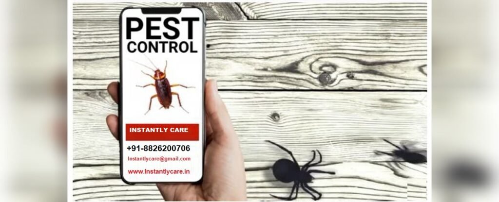 WhatsApp Image 2025-08-05 at 10.48.54 AM